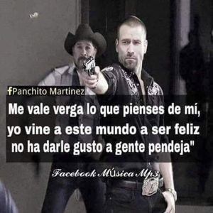 Meet your Posher, Sofia